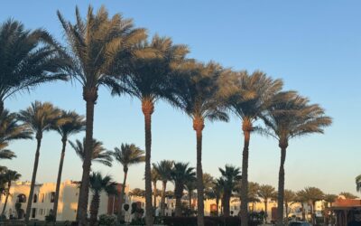 Rotes Meer und koptisches Kairo